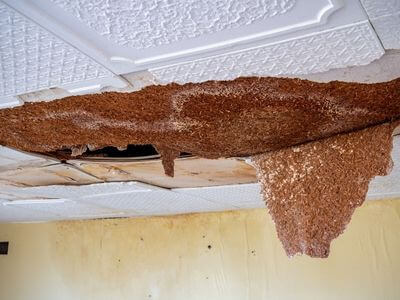 Professional water damage restoration services in Fort Worth - Worthy Restoration